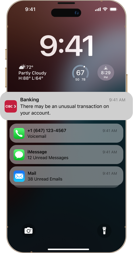 Digital Fraud Transformation