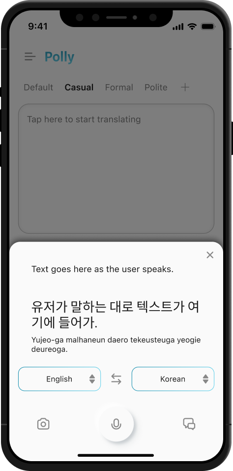 Polly translates what the user has said